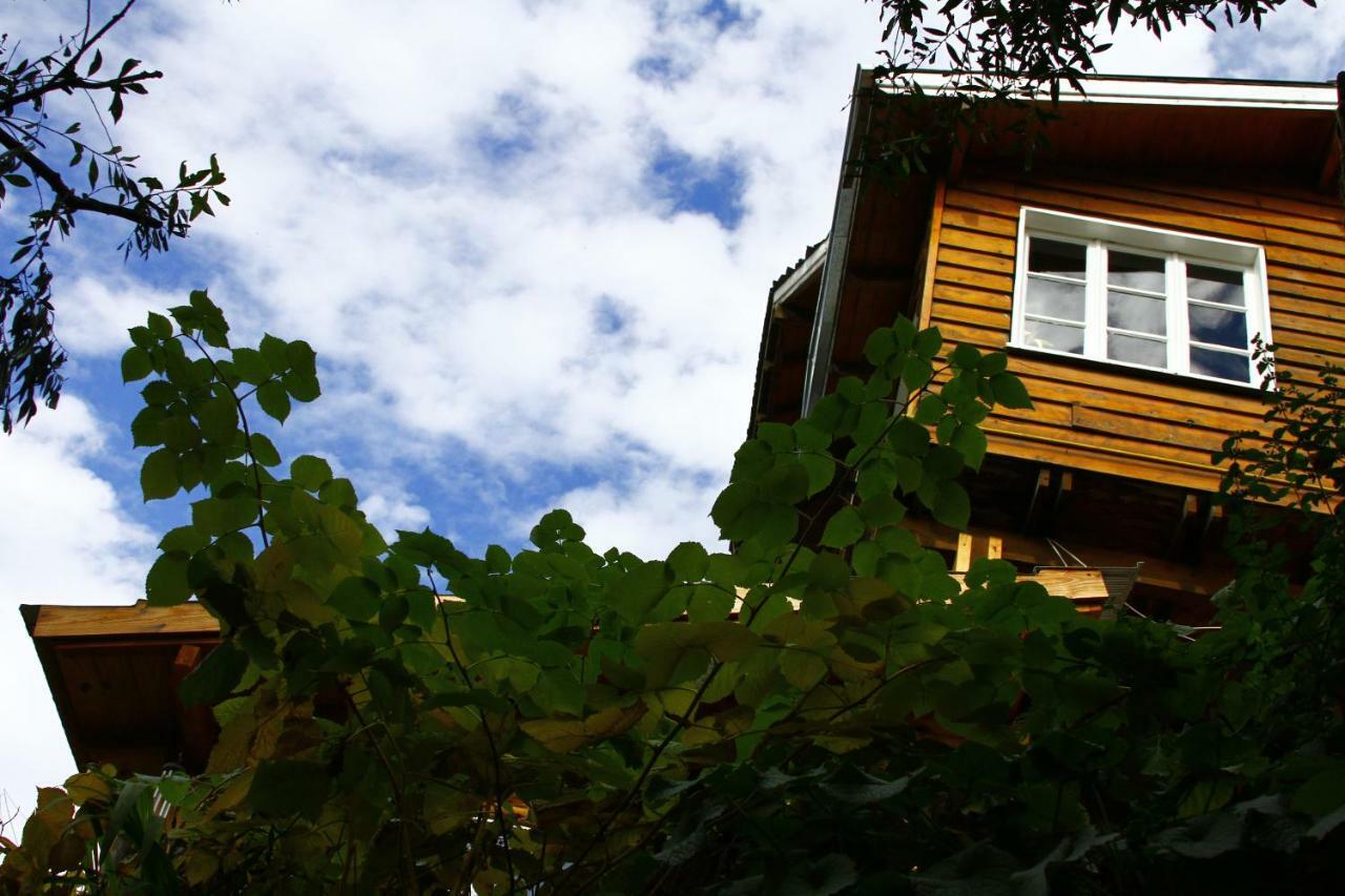 Bed and Breakfast Pajaro Azul à San Carlos de Bariloche Extérieur photo